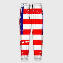 Мужские брюки 3D Америка