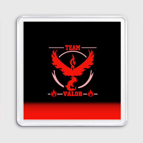 Магнит 55*55 Team Valor