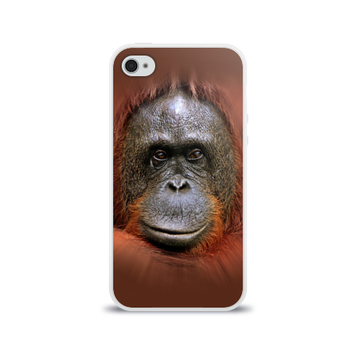 Чехол для Apple iPhone 4/4S силиконовый глянцевый Обезьяна Фото 01 Чехол для Apple iPhone 4/4S силиконовый глянцевый Обезьяна Фото 01