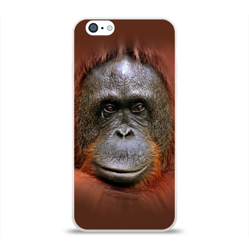 Чехол для Apple iPhone 6 силиконовый глянцевый Обезьяна Фото 01 Чехол для Apple iPhone 6 силиконовый глянцевый Обезьяна Фото 01