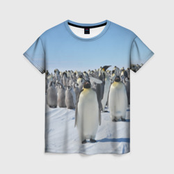 Женская футболка 3D Пингвины