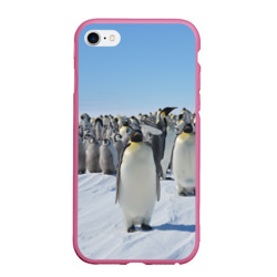 Чехол для iPhone 6/6S матовый Пингвины