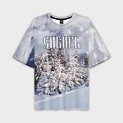 Мужская футболка oversize 3D Сибирь