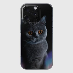 Чехол для iPhone 16 Pro Max силиконовый с защитой камеры Британец кот удивлён