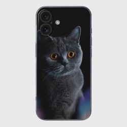 Чехол для iPhone 16 силиконовый с защитой камеры Британец кот удивлён