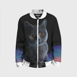 Детский бомбер 3D Британец кот удивлён
