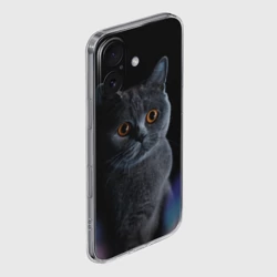 Чехол для iPhone 16 силиконовый с защитой камеры Британец кот удивлён - фото 2