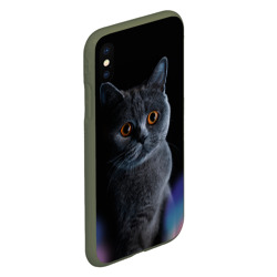 Чехол для iPhone XS Max матовый Британец кот удивлён - фото 2