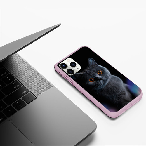Чехол для iPhone 11 Pro матовый Британец кот удивлён, цвет розовый - фото 5