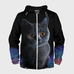 Мужская ветровка 3D Британец кот удивлён