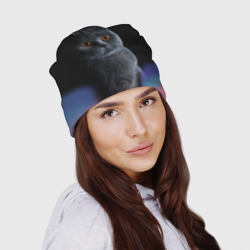 Шапка 3D Британец кот удивлён - фото 2
