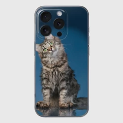 Чехол для iPhone 16 Pro Max силиконовый с защитой камеры Мейн-кун 2