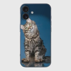Чехол для iPhone 16 силиконовый с защитой камеры Мейн-кун 2