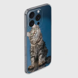 Чехол для iPhone 16 Pro Max силиконовый с защитой камеры Мейн-кун 2 - фото 2