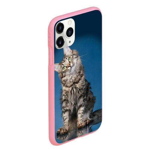 Чехол для iPhone 11 Pro Max матовый Мейн-кун 2, цвет баблгам - фото 3