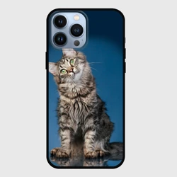 Чехол для iPhone 13 Pro Max Мейн-кун 2