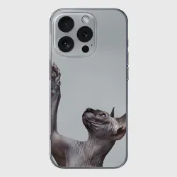 Чехол для iPhone 16 Pro Max силиконовый с защитой камеры Сфинкс 3