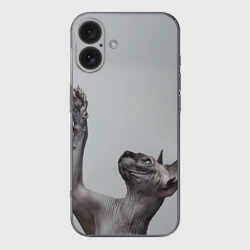 Чехол для iPhone 16 силиконовый с защитой камеры Сфинкс 3
