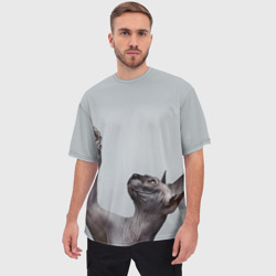 Мужская футболка oversize 3D Сфинкс 3 - фото 2
