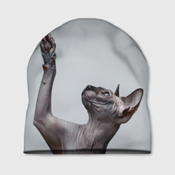 Шапка 3D Сфинкс 3