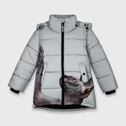 Зимняя куртка для девочек 3D Сфинкс 3