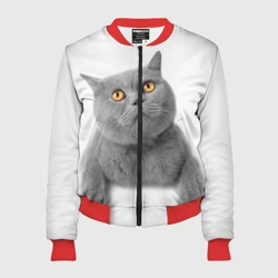 Женский бомбер 3D Британец кот смотрит наверх