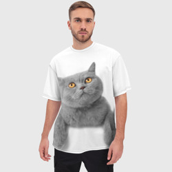 Мужская футболка oversize 3D Британец кот смотрит наверх - фото 2
