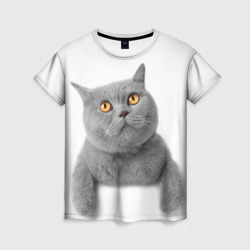 Женская футболка 3D Британец кот смотрит наверх