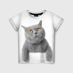 Детская футболка 3D Британец кот смотрит наверх