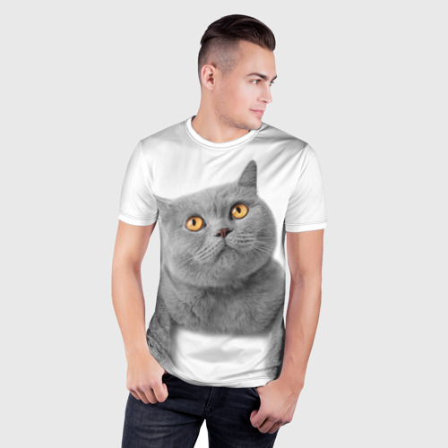 Мужская футболка 3D Slim Британец кот смотрит наверх, цвет 3D печать - фото 3