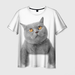 Мужская футболка 3D Британец кот смотрит наверх