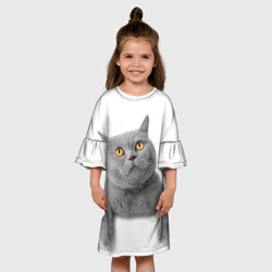 Детское платье 3D Британец кот смотрит наверх - фото 2