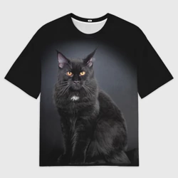 Женская футболка oversize 3D Мейн-кун крупный чёрный