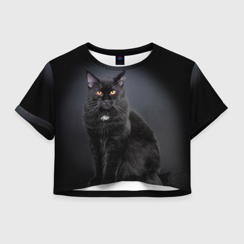 Женская футболка Cropp-top Мейн-кун 3 Фото 01 Женская футболка Cropp-top Мейн-кун 3 Фото 01