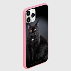 Чехол для iPhone 11 Pro Max матовый Мейн-кун крупный чёрный - фото 2