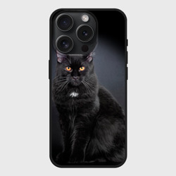 Чехол силиконовый для Apple iPhone 15 Pro матовый Мейн-кун крупный чёрный