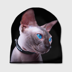 Шапка 3D Сфинкс 6