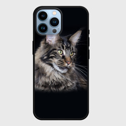 Чехол для iPhone 14 Pro Max Мейн-кун 5