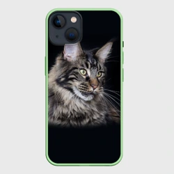 Чехол для iPhone 14 Мейн-кун 5