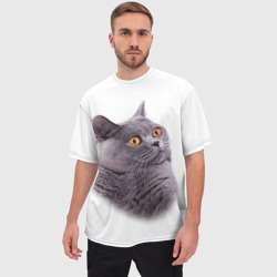 Мужская футболка oversize 3D Британец кот удивленно смотрит - фото 2