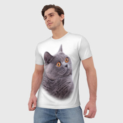 Мужская футболка 3D Британец кот удивленно смотрит - фото 2