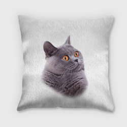 Подушка 3D Британец кот удивленно смотрит