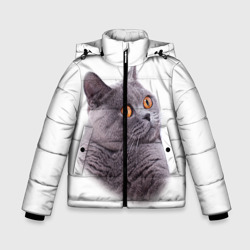 Зимняя куртка для мальчиков 3D Британец кот удивленно смотрит