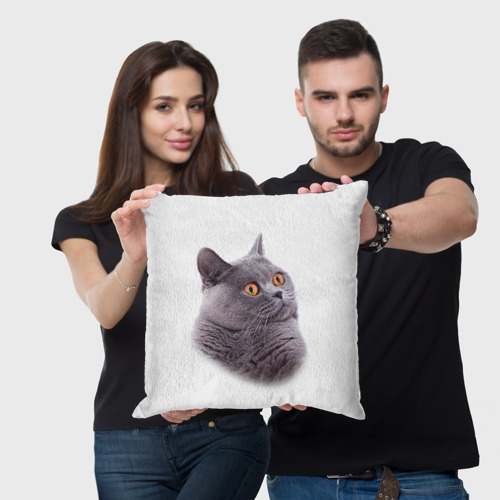 Подушка 3D Британец кот удивленно смотрит - фото 3