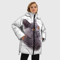 Женская зимняя куртка Oversize Британец кот удивленно смотрит - фото 2