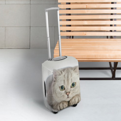 Чехол для чемодана 3D Британец кот лежит сосредоточен - фото 2
