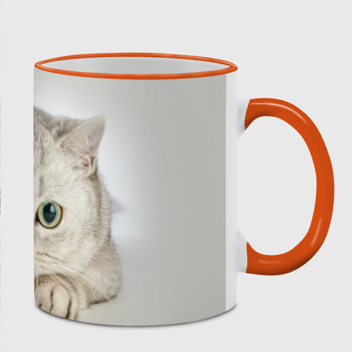 Кружка с полной запечаткой Британец кот лежит сосредоточен, цвет Кант оранжевый