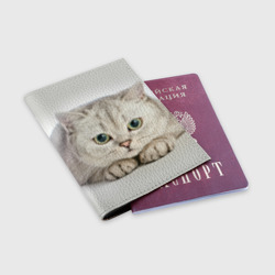 Обложка для паспорта матовая кожа Британец кот лежит сосредоточен - фото 2