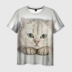 Мужская футболка 3D Британец кот лежит сосредоточен