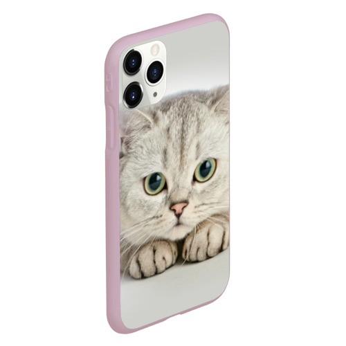 Чехол для iPhone 11 Pro матовый Британец кот лежит сосредоточен, цвет розовый - фото 3